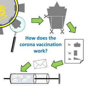 How does the corona vaccination work? (english version)